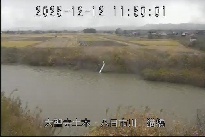 猫橋 のカメラ画像