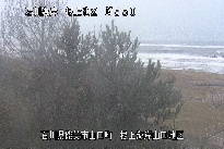 根上海岸 のカメラ画像