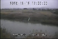 猫橋 のカメラ画像