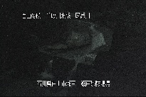 瀬戸堰堤 のカメラ画像