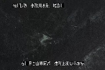 猿花 のカメラ画像