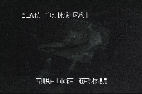 瀬戸堰堤 のカメラ画像
