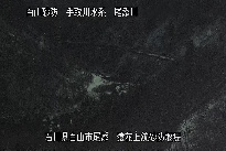 猿花 のカメラ画像