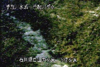 東二口 のカメラ画像