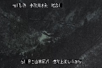 猿花 のカメラ画像