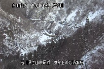 猿花 のカメラ画像