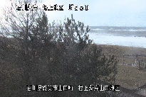 根上海岸 のカメラ画像