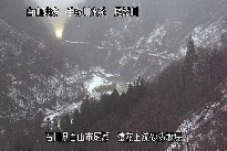 猿花 のカメラ画像