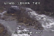 河内谷 のカメラ画像