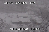 別当出合 のカメラ画像