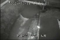 坂尻 のカメラ画像