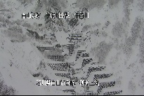 柳谷上流 のカメラ画像