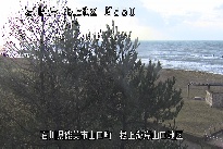 根上海岸 のカメラ画像