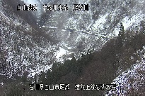 猿花 のカメラ画像