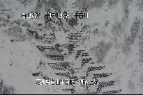 柳谷上流 のカメラ画像