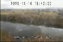 猫橋 のカメラ画像