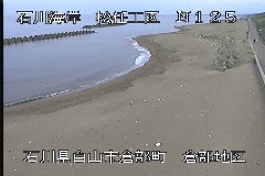CCݑqn ̃J摜