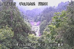 YQ ̃J摜
