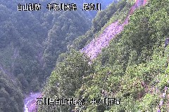 m쉺 ̃J摜