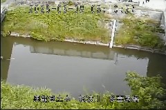  ̃J摜