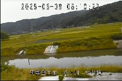 La ̃J摜
