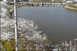 羽咋川的場 のカメラ画像