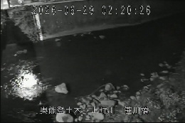 笹川橋 のカメラ画像