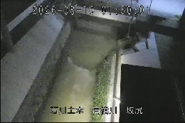 坂尻 のカメラ画像