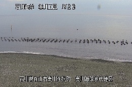 美川海岸 のカメラ画像